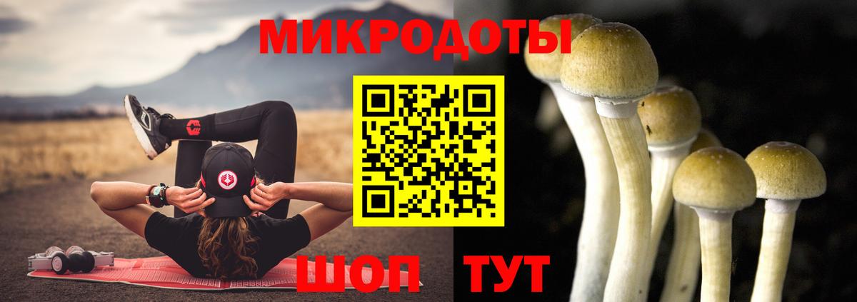 Канаш  Галлюциногенные грибы Psilocybe  Вход с VPN 